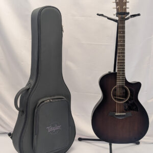 Taylor AD24CE Acoustic Guitar