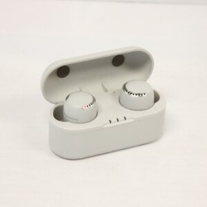Panasonic RZ-S500W Earbuds