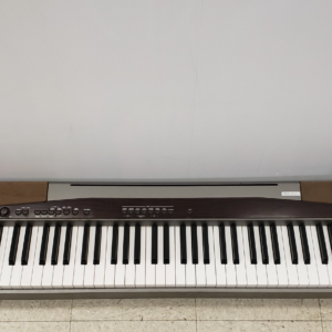 Casio PX-100 PRIVIA Digital Piano