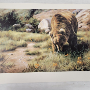 Post Wildlife In Jeopardy Forgoing- Grizzly Maurade Baynton