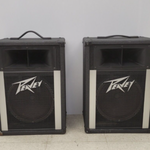 Peavey 110H Moniter Speakers
