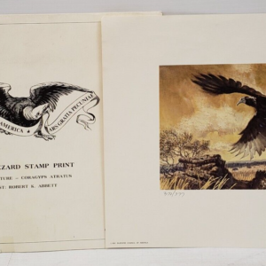 Buzzard Council Of America 1981 By Robert K Abbett Print
